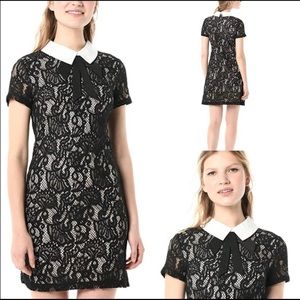 Betsey Johnson Wednesday Addams collared lace dress sz8